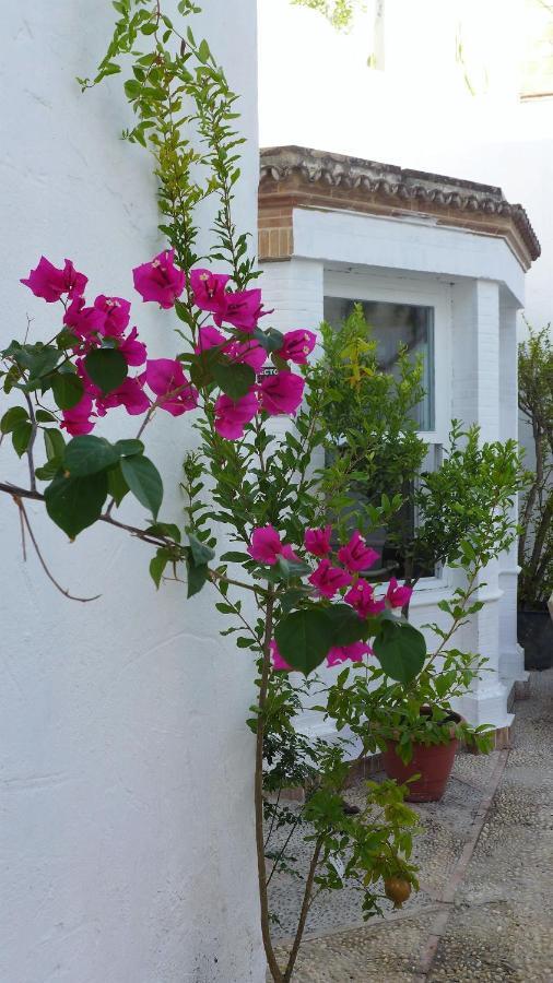 Patios Del Agua Bed & Breakfast El Puerto de Santa Maria Ngoại thất bức ảnh