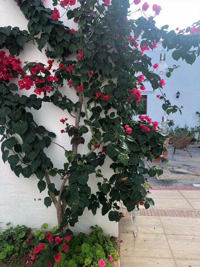 Patios Del Agua Bed & Breakfast El Puerto de Santa Maria Ngoại thất bức ảnh