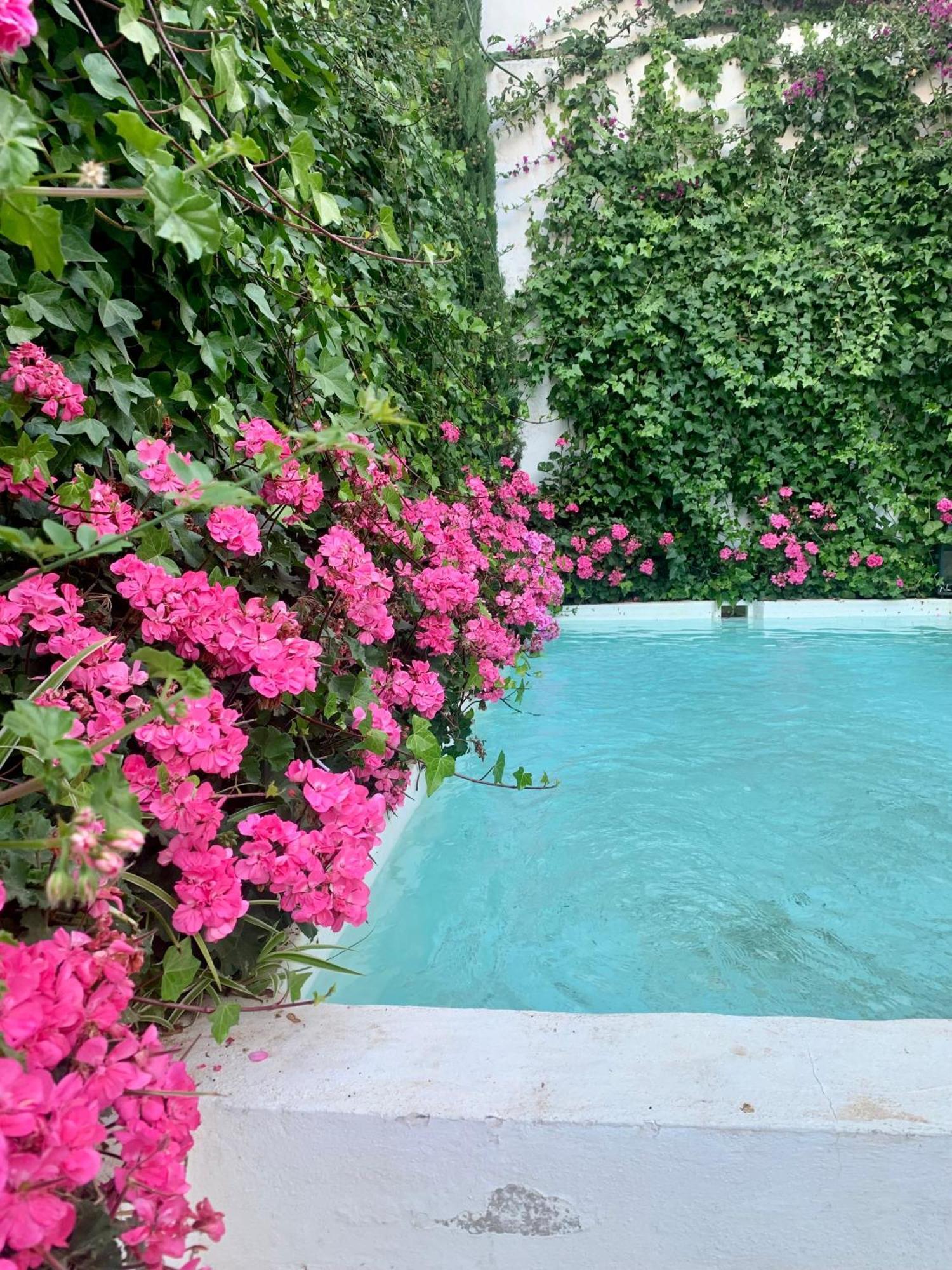 Patios Del Agua Bed & Breakfast El Puerto de Santa Maria Ngoại thất bức ảnh